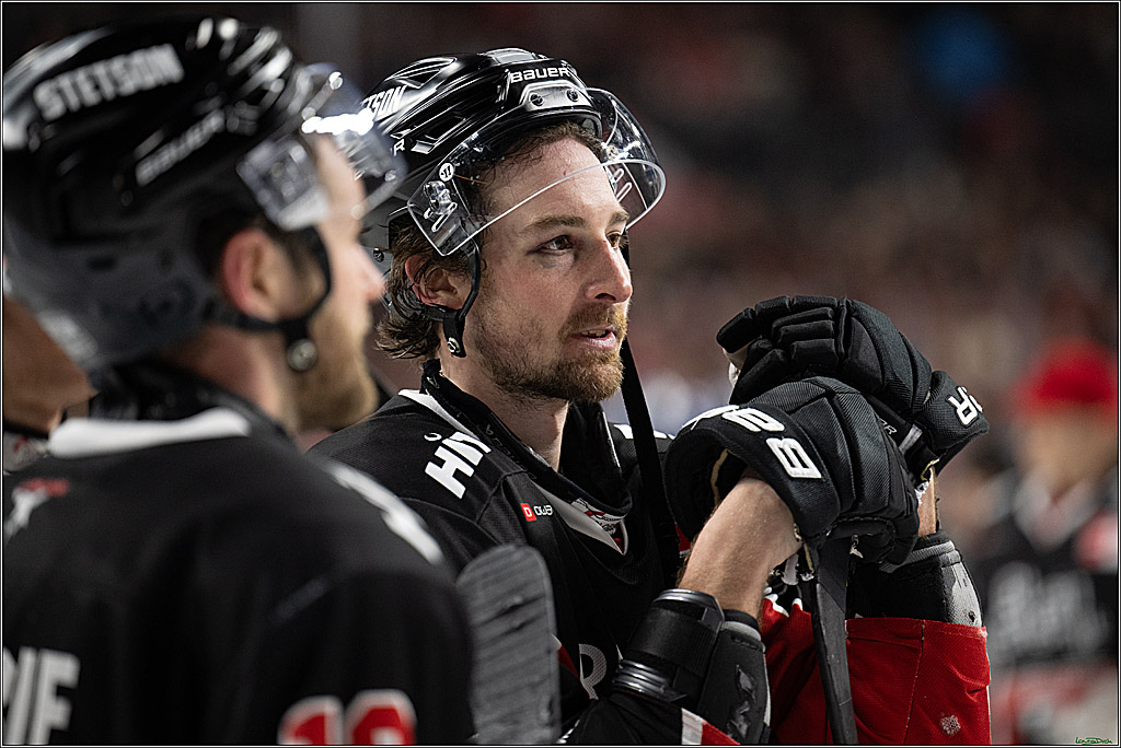 PENNY DEL; Koelner Haie-Duesseldorfer EG ; Koeln, 16.02.2025